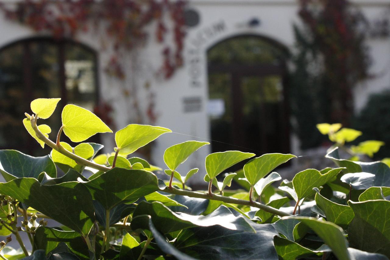 The Zen Hotel - Posticum Oradea Εξωτερικό φωτογραφία
